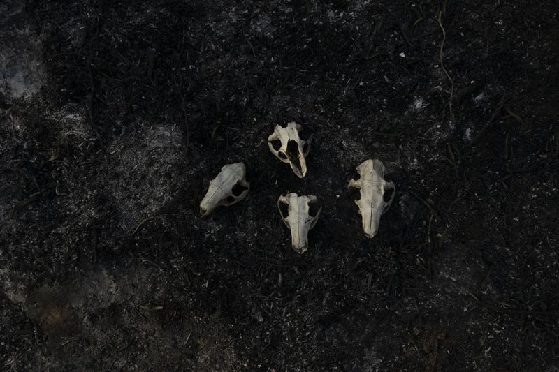 © Sebastian Lopez Brach - Image from the Rio Adentro photography project