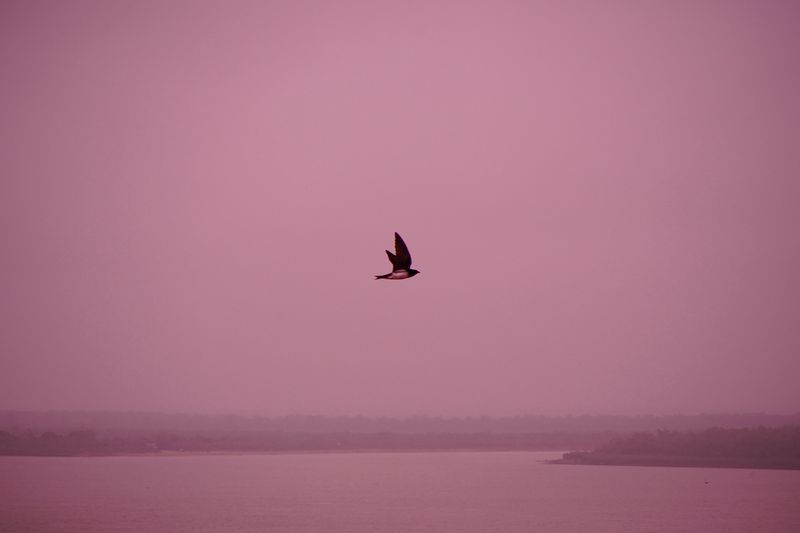 © Sebastian Lopez Brach - Image from the Rio Adentro photography project