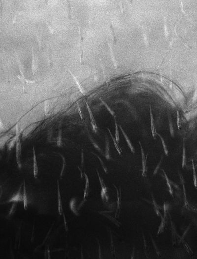 Giulia Arantxa Novelli