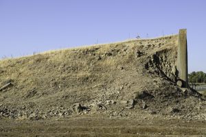 Il futuro è già iniziato