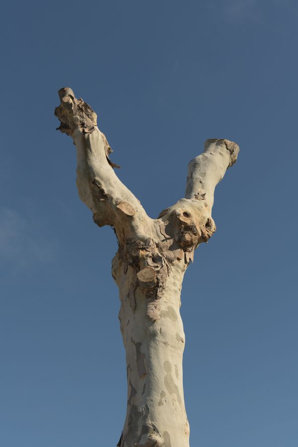 © Giulia Arantxa Novelli - Image from the Il futuro è già iniziato photography project