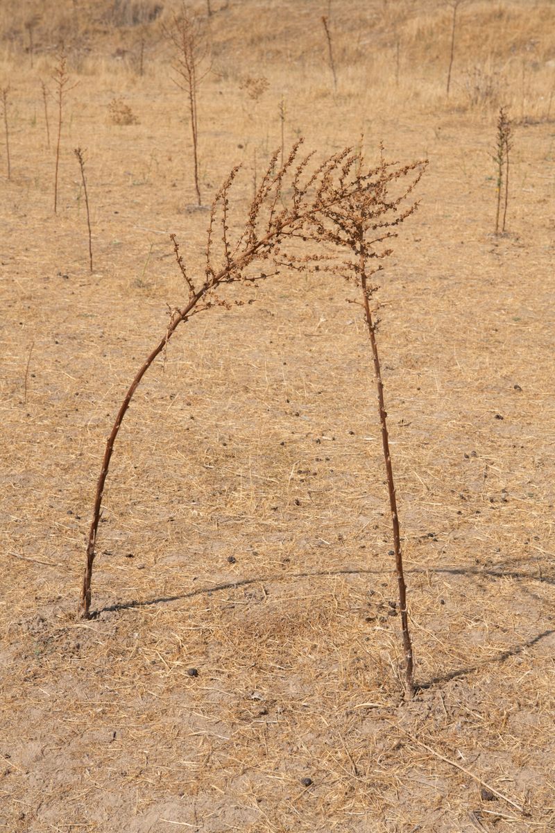 © Giulia Arantxa Novelli - Image from the Il futuro è già iniziato photography project