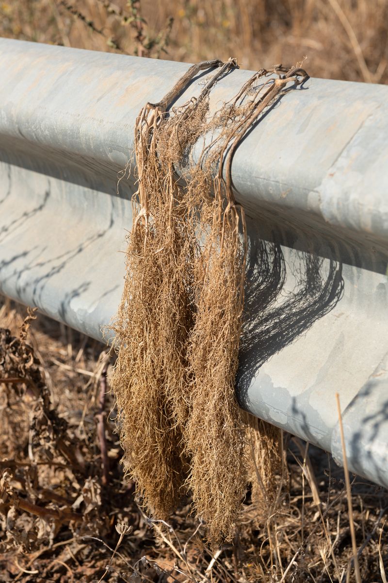 © Giulia Arantxa Novelli - Image from the Il futuro è già iniziato photography project