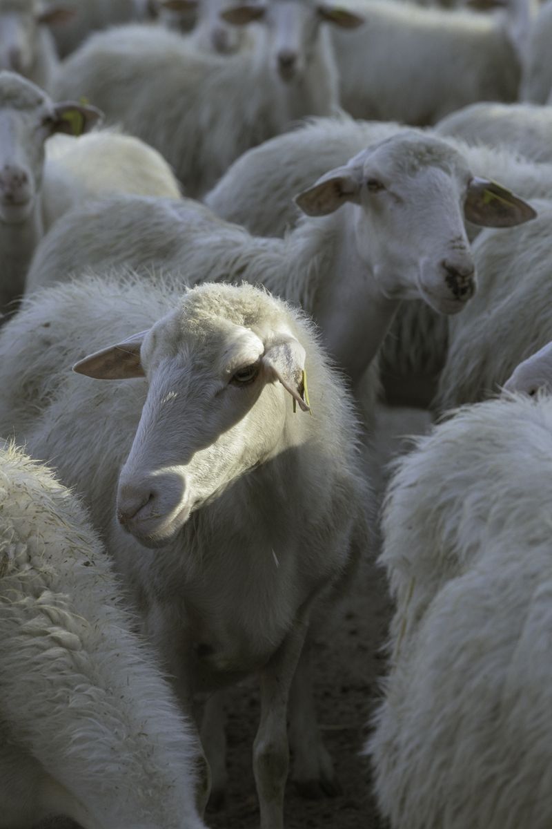 © Giulia Arantxa Novelli - Image from the Il futuro è già iniziato photography project