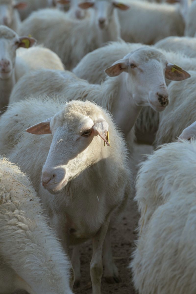 © Giulia Arantxa Novelli - Image from the Il futuro è già iniziato photography project