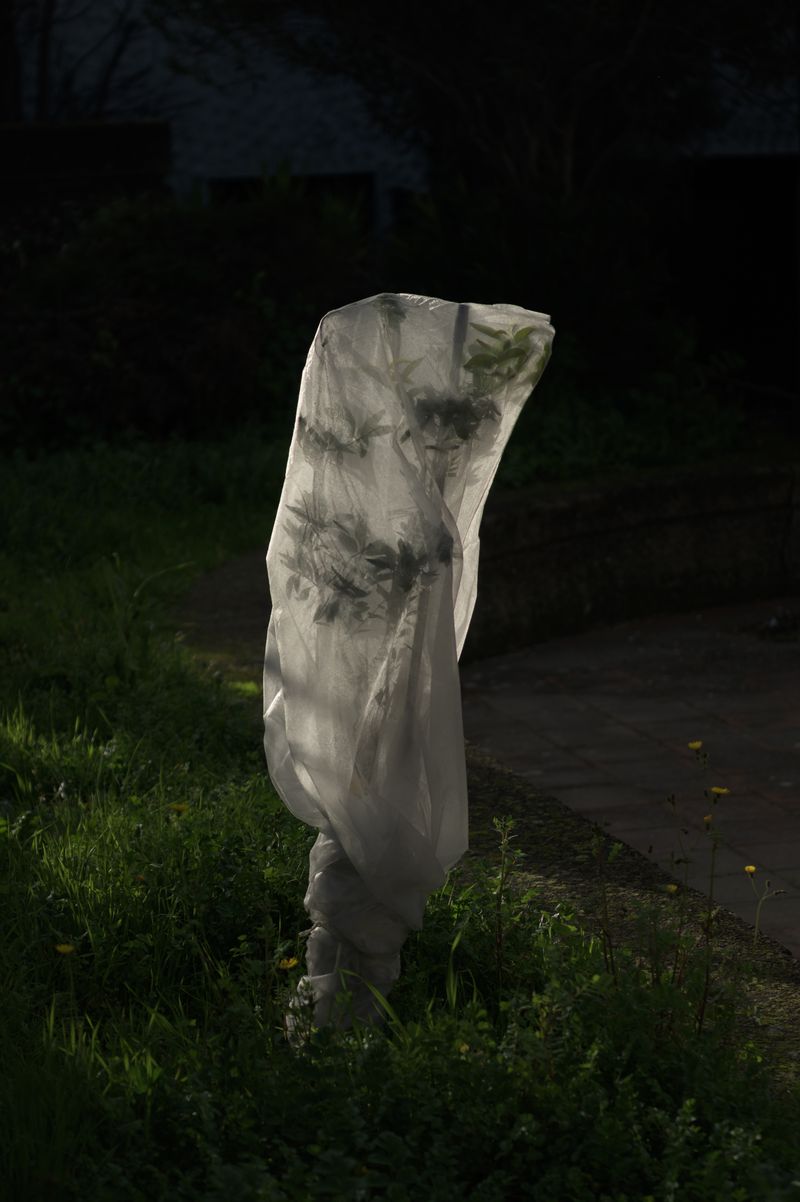 © Giulia Arantxa Novelli - Image from the Il Futuro è già Iniziato (The Future Has Already Begun) photography project