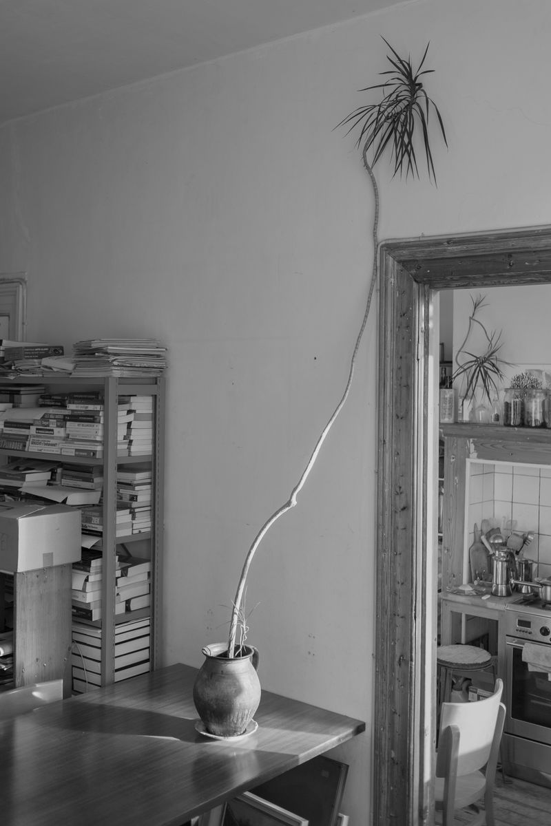 © Marens van Leunen - Helmersstraat-Plant/Herman