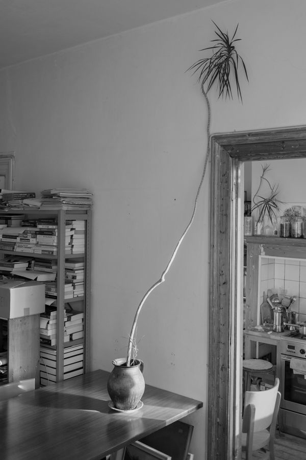 © Marens van Leunen - Helmersstraat-Plant/Herman