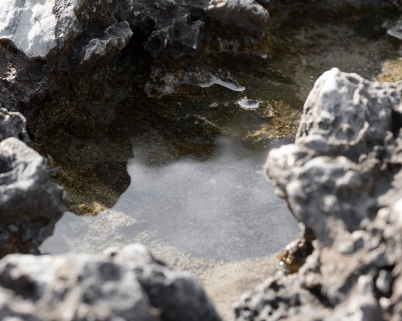 © Gaia Maggio - Image from the Diatomaceous Earth photography project