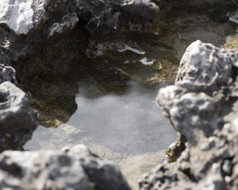 © Gaia Maggio - Image from the Diatomaceous Earth photography project