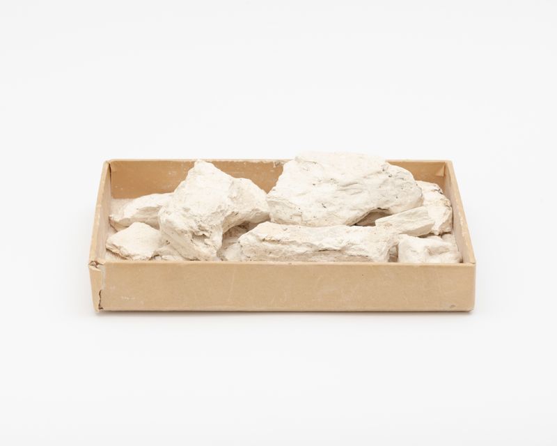 © Gaia Maggio - Fossil flour, Real Mineralogical museum, Natural and Physical Sciences Center University of Naples Federico II.