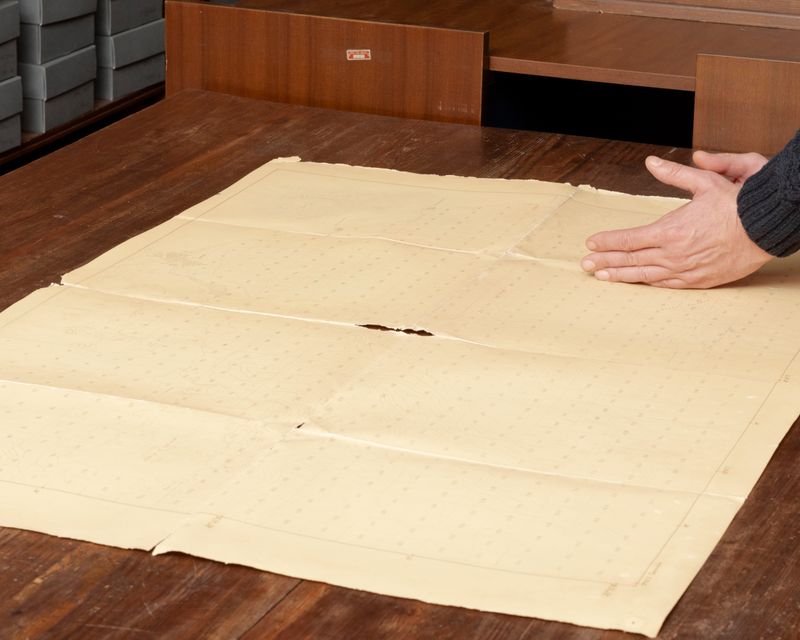 © Gaia Maggio - Image from the Diatomaceous Earth photography project