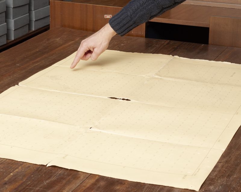 © Gaia Maggio - Image from the Diatomaceous Earth photography project