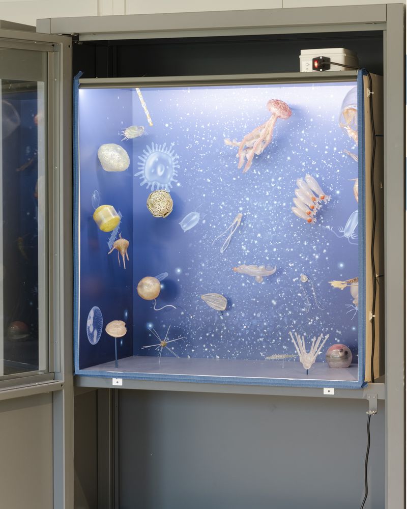 © Gaia Maggio - Image from the Diatomaceous Earth photography project