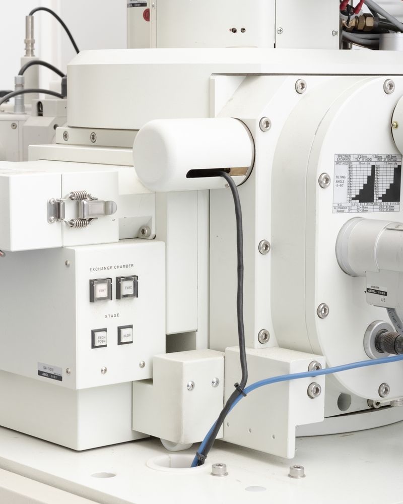 © Gaia Maggio - SEM Microscope, Zoological Station Anton Dohrn Naples.