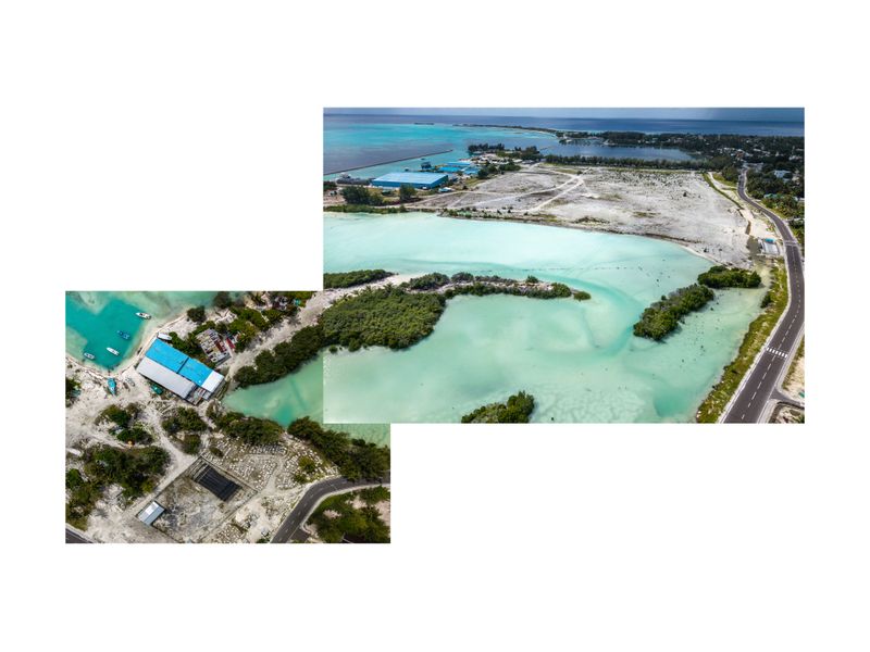 © Sophia Nasif - Aerial views of the mangrove show the stagnation of the mangrove, and the cause.