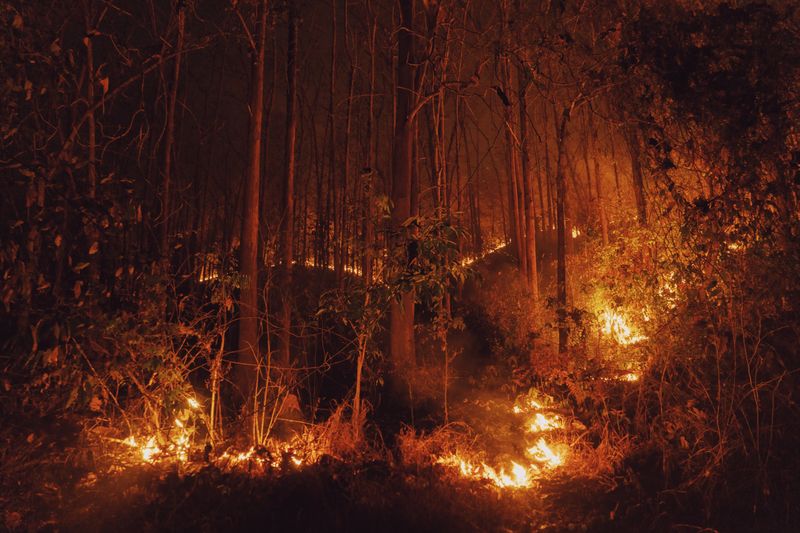 © Yixi Tian - Guizhou mountainous area caught a major fire in February.