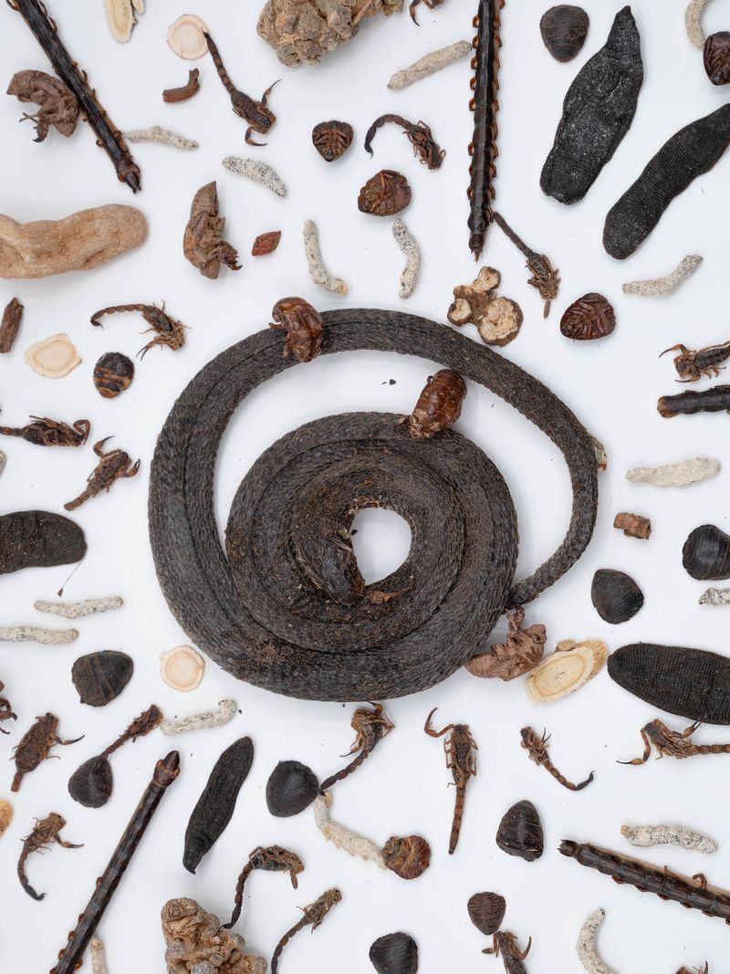 © Yixi Tian - These are snake and insect-based traditional Chinese medicines, used for treating cerebral infarction.