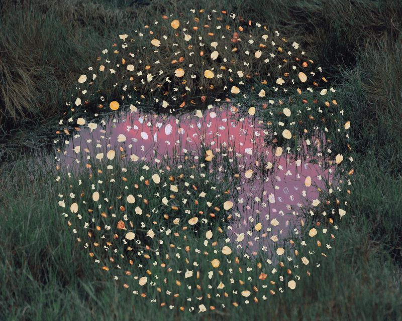 © Yixi Tian - Crossing the wetlands, waiting for oblivion.