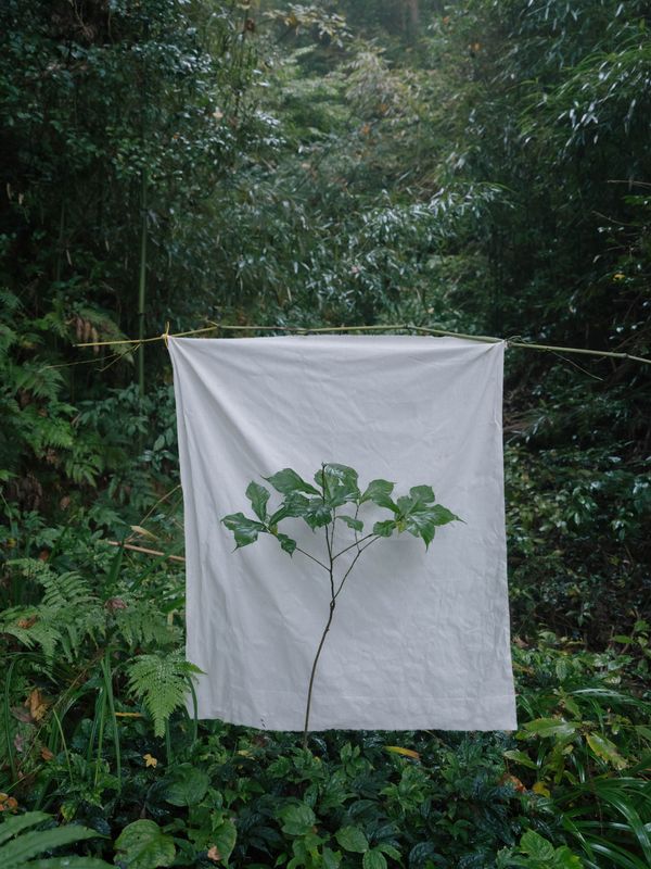 © Yixi Tian - Image from the Veiled by Cloud and Mist photography project