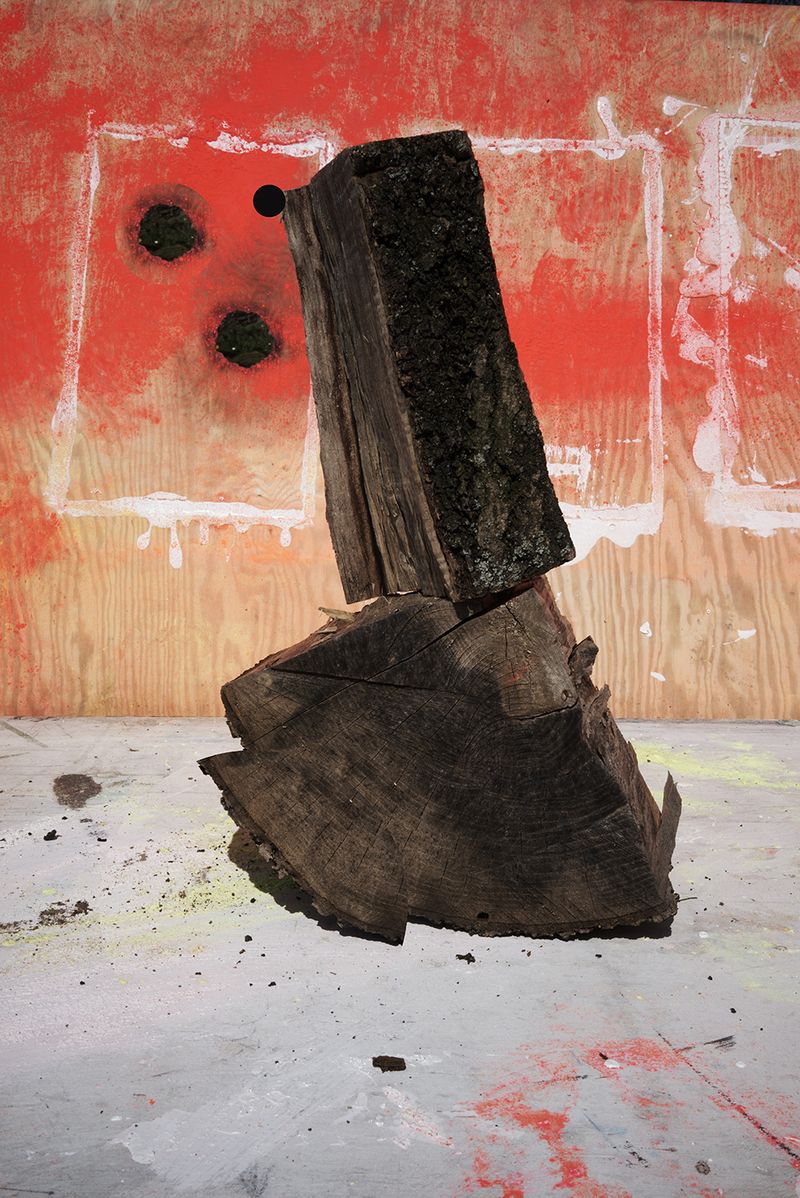 © Igor Omulecki - Image from the Mikado photography project