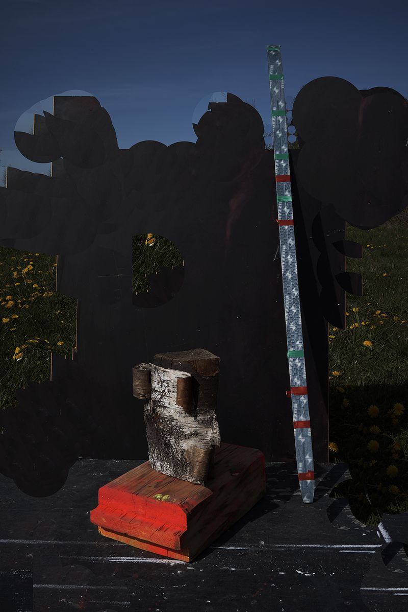 © Igor Omulecki - Image from the Mikado photography project