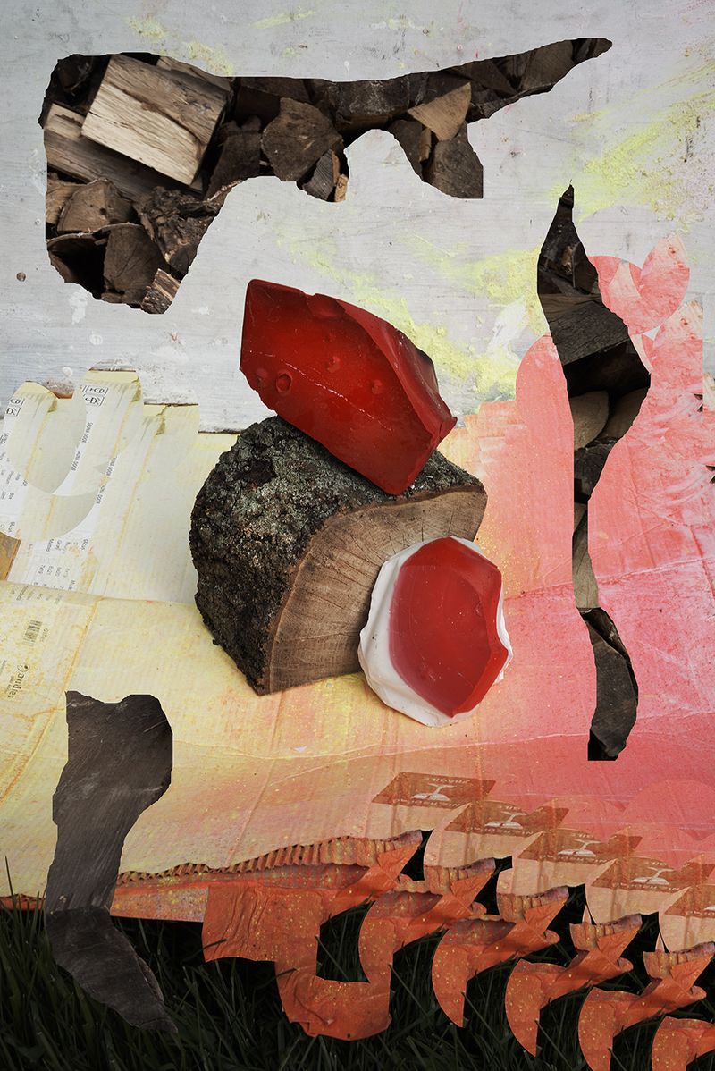 © Igor Omulecki - Image from the Mikado photography project