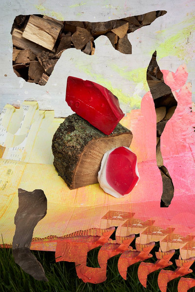 © Igor Omulecki - Image from the Mikado photography project