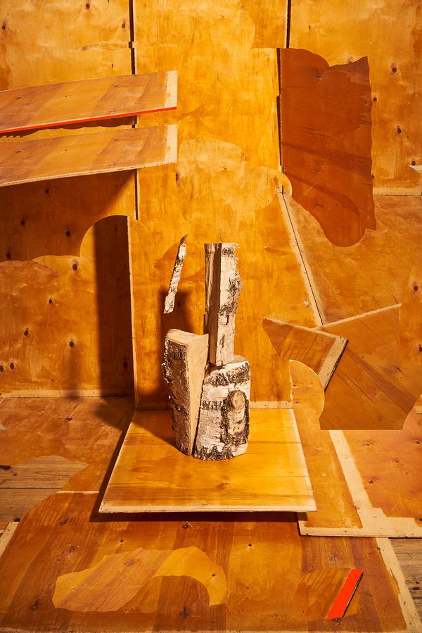 © Igor Omulecki - Image from the Mikado photography project