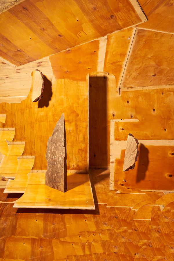 © Igor Omulecki - Image from the Mikado photography project