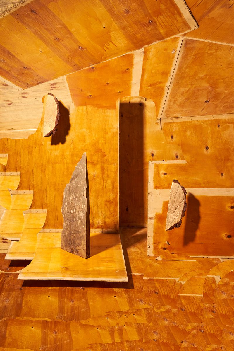 © Igor Omulecki - Image from the Mikado photography project