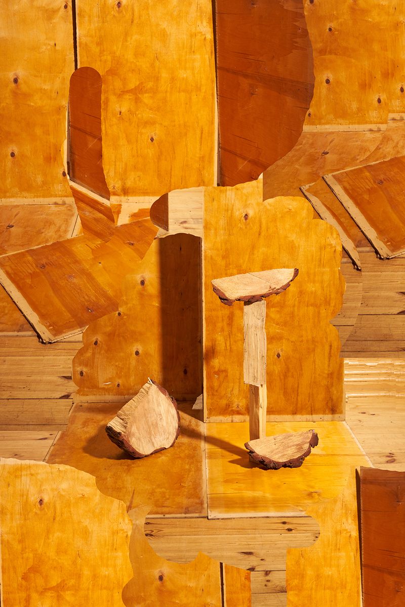 © Igor Omulecki - Image from the Mikado photography project