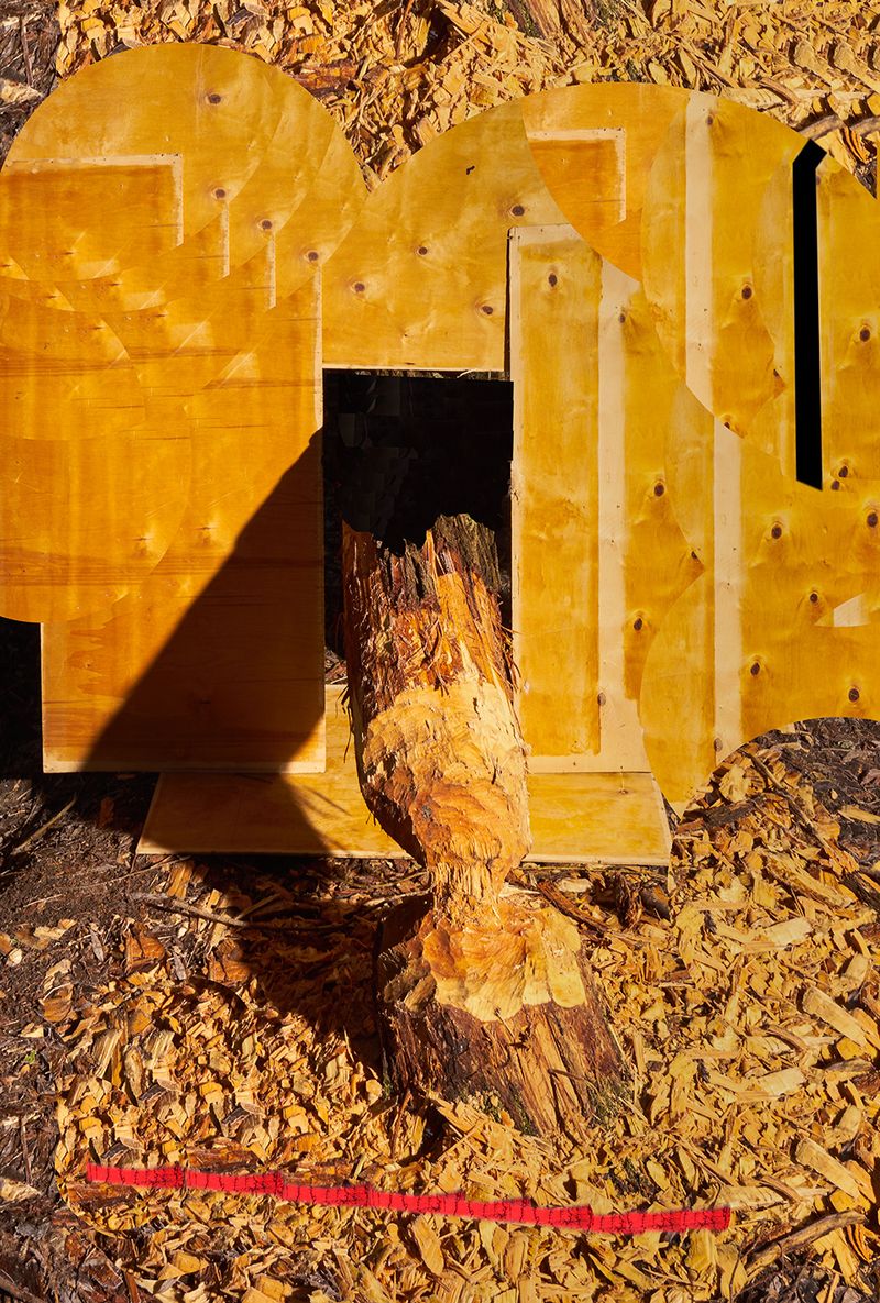 © Igor Omulecki - Image from the Mikado photography project