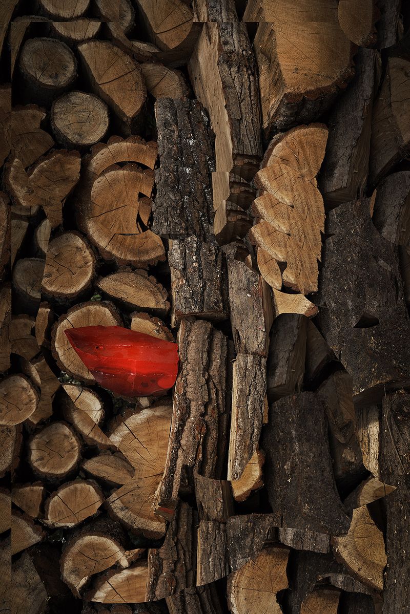 © Igor Omulecki - Image from the Mikado photography project