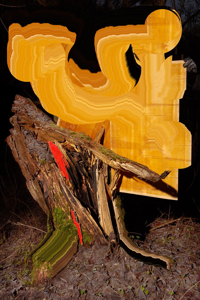 © Igor Omulecki - Image from the Mikado photography project