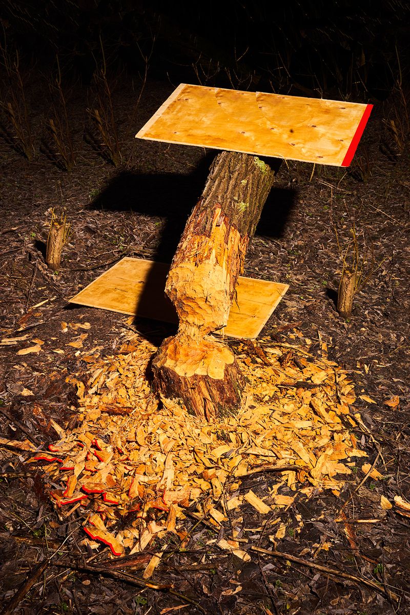 © Igor Omulecki - Image from the Mikado photography project