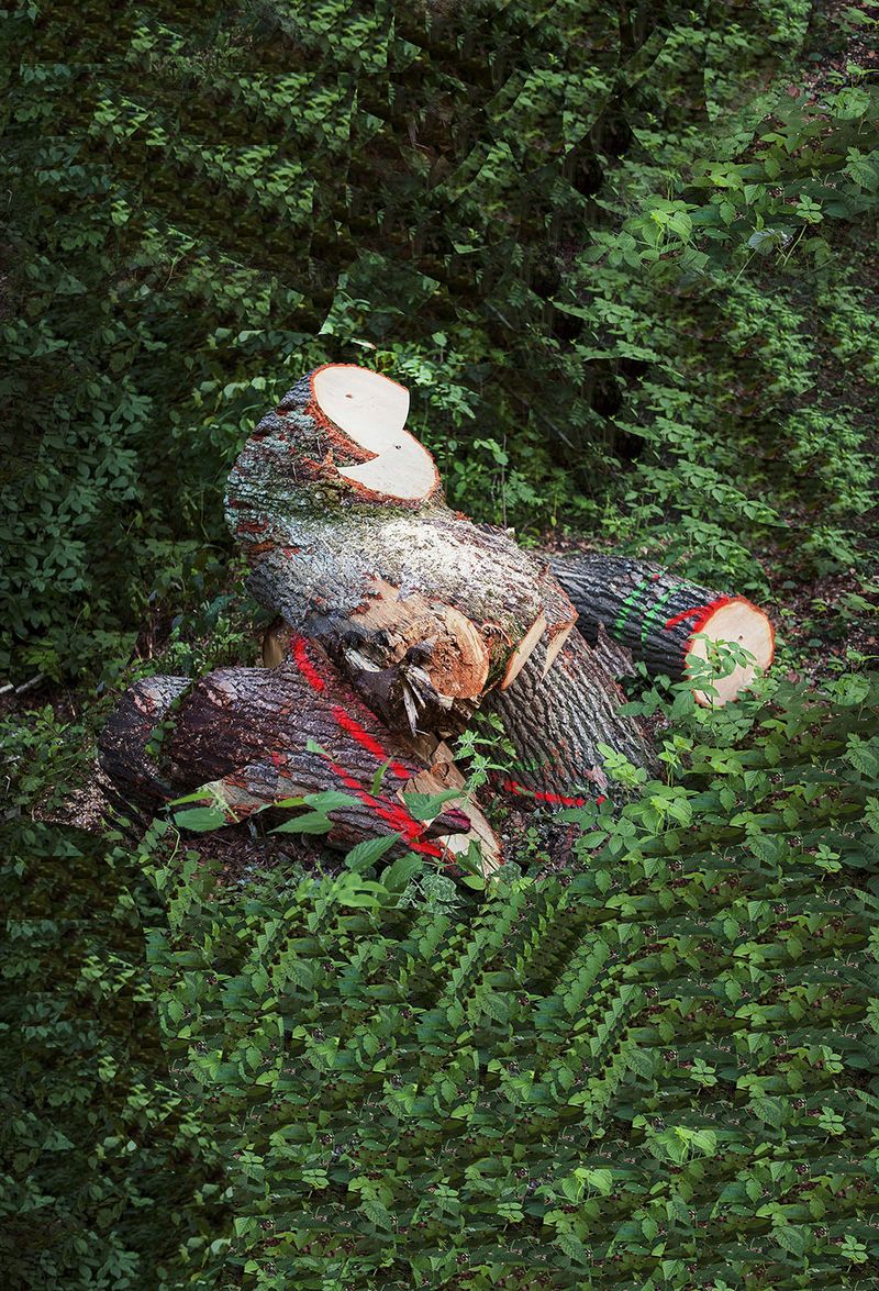 © Igor Omulecki - Image from the Mikado photography project