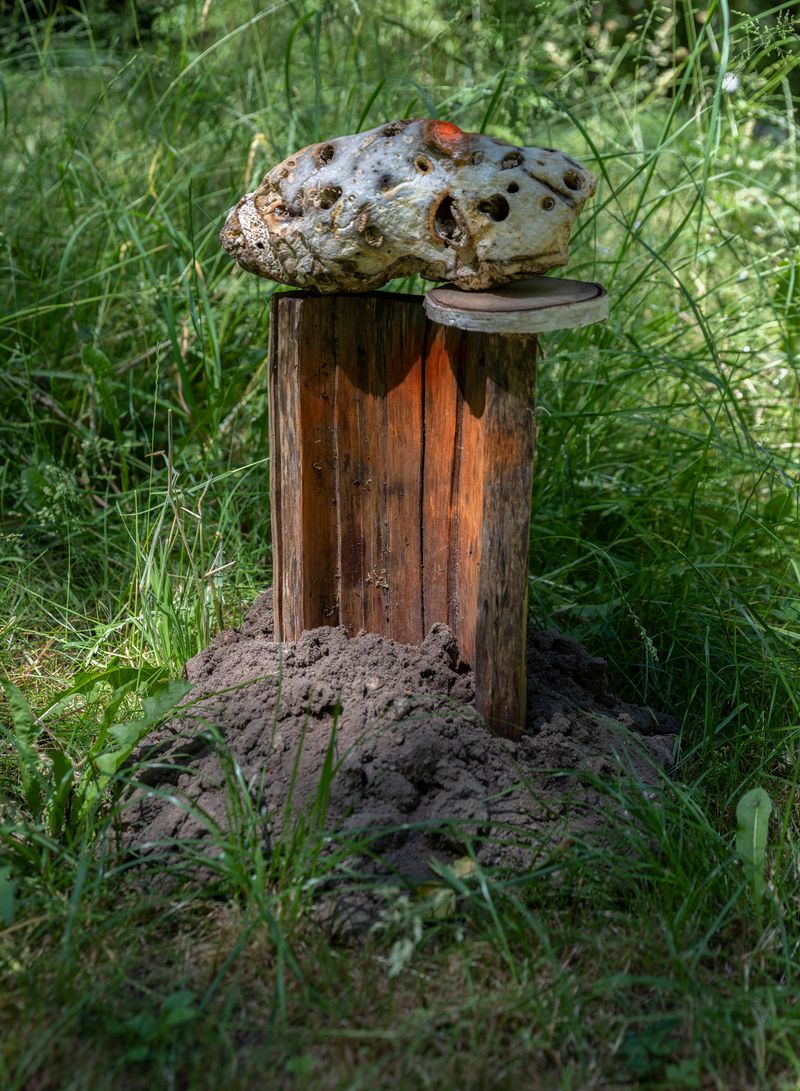 © Igor Omulecki - Image from the Stereo Ha photography project