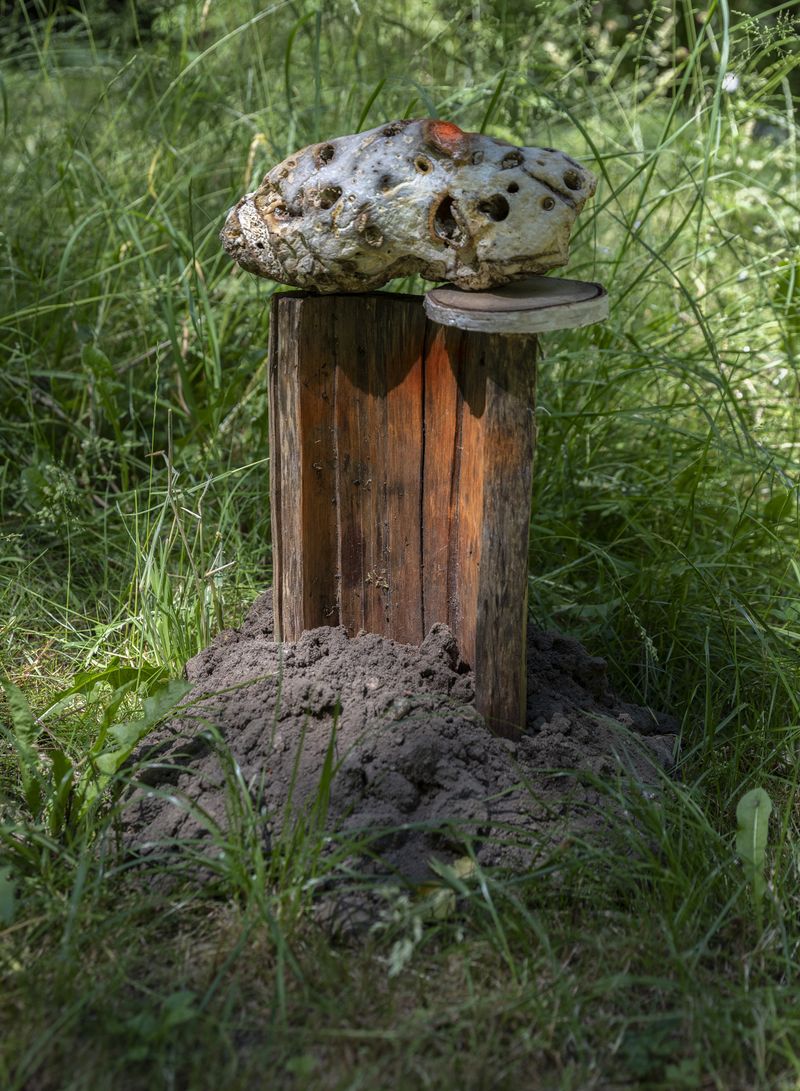 © Igor Omulecki - Image from the Stereo Ha photography project