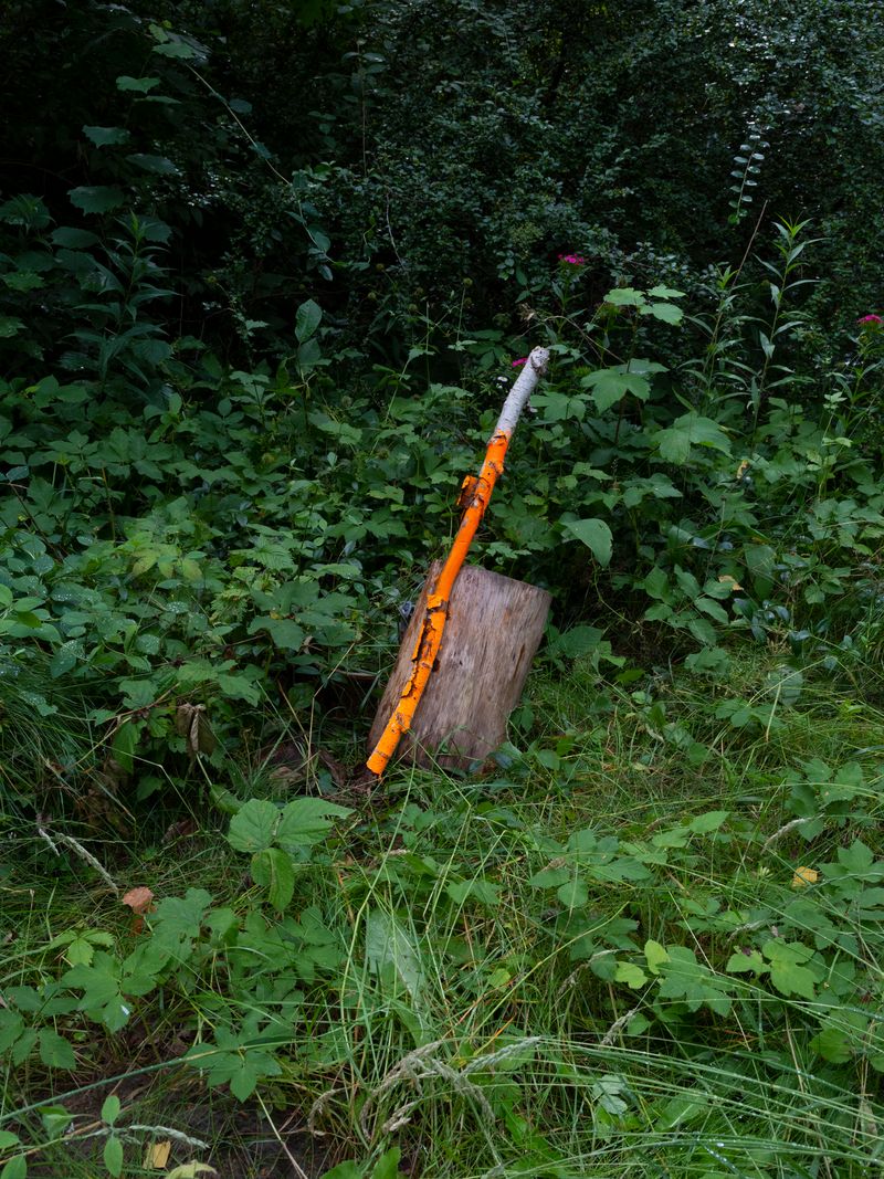 © Igor Omulecki - Image from the Stereo Ha photography project