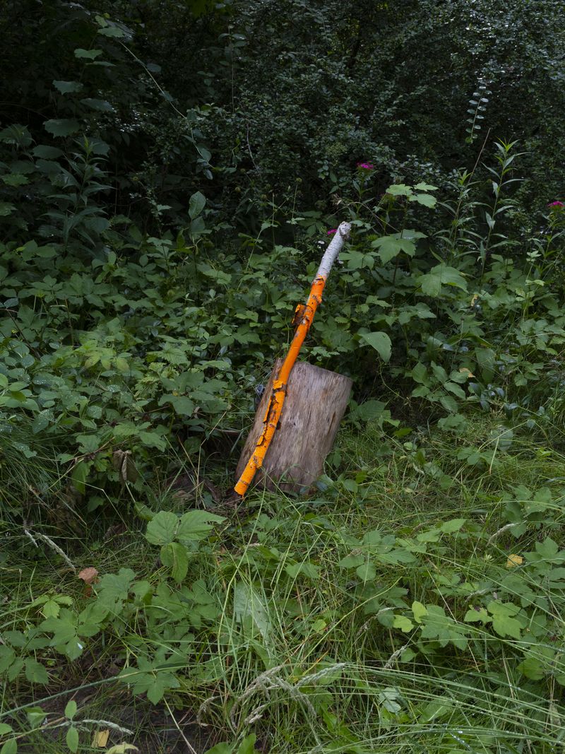 © Igor Omulecki - Image from the Stereo Ha photography project