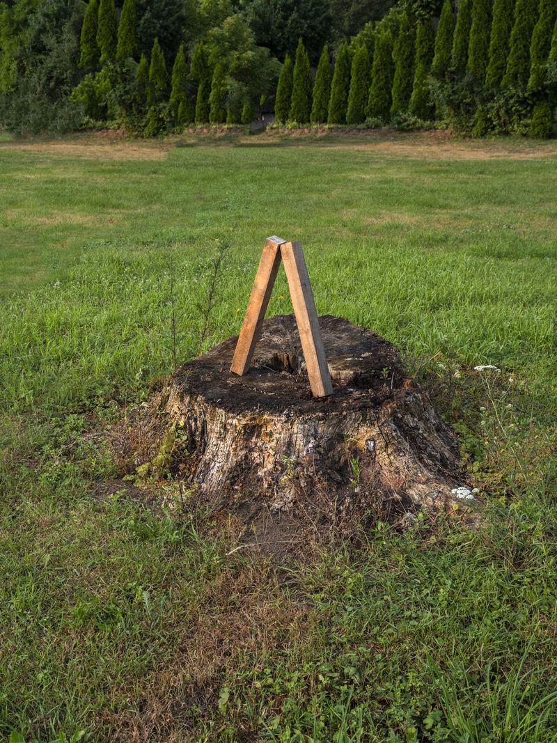 © Igor Omulecki - Image from the Stereo Ha photography project