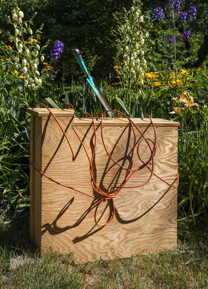 © Igor Omulecki - Image from the Stereo Ha photography project