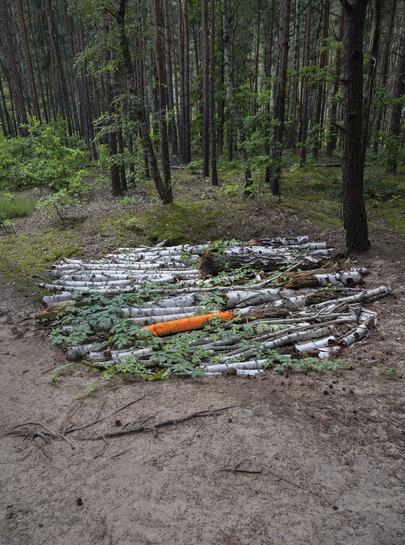 © Igor Omulecki - Image from the Stereo Ha photography project