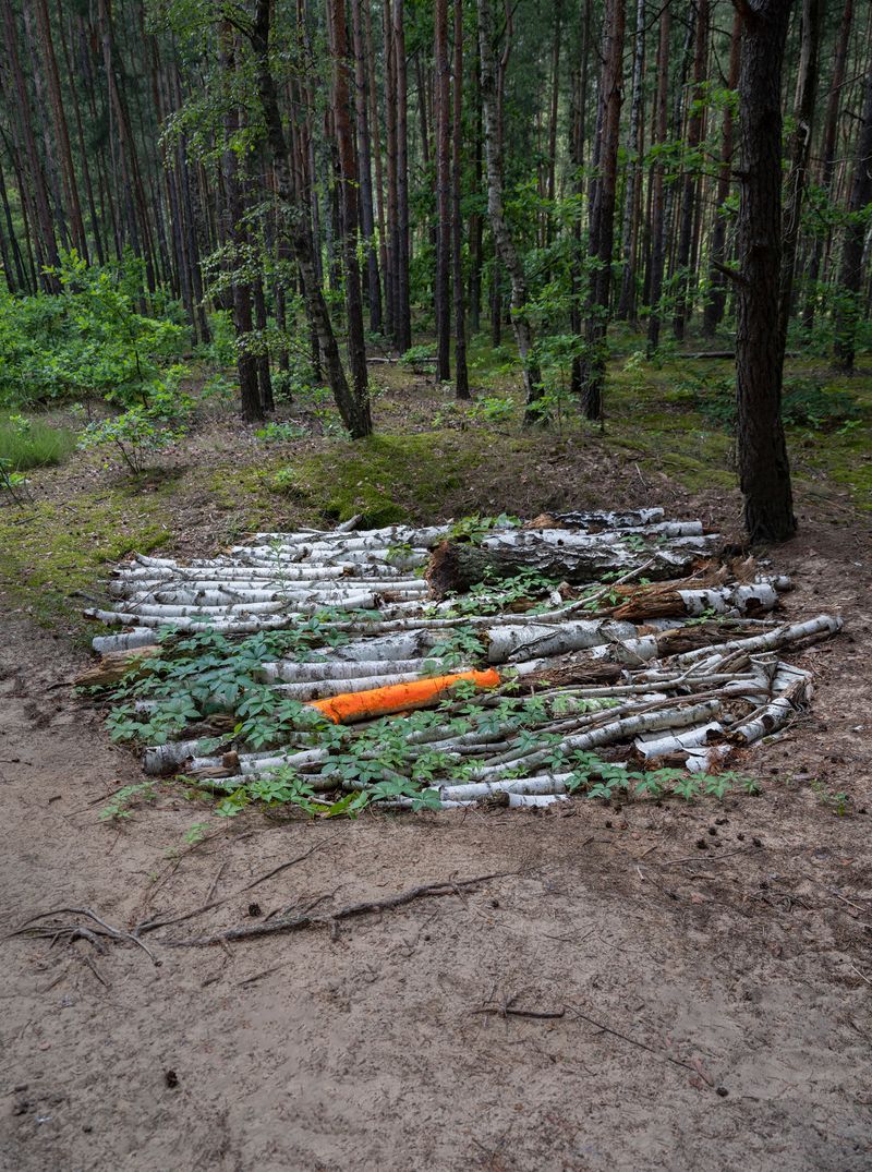 © Igor Omulecki - Image from the Stereo Ha photography project