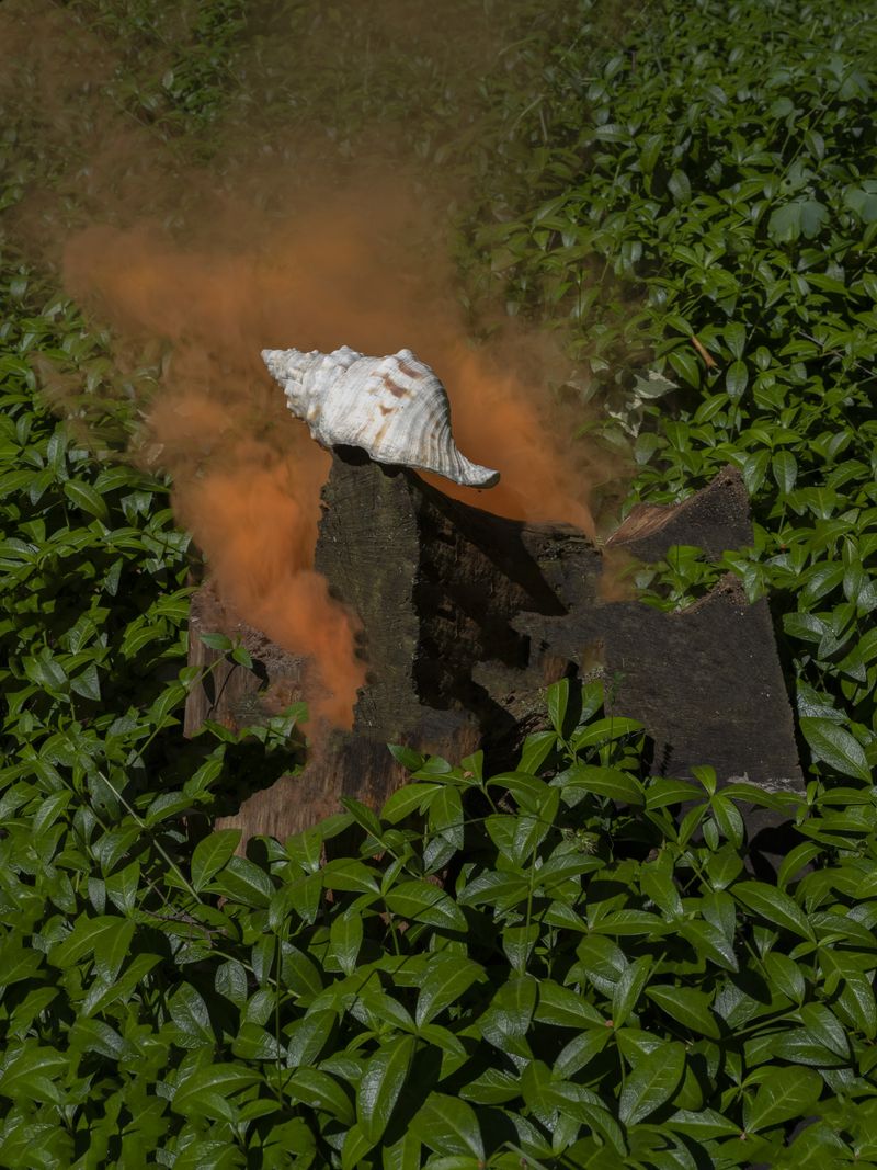 © Igor Omulecki - Image from the Stereo Ha photography project