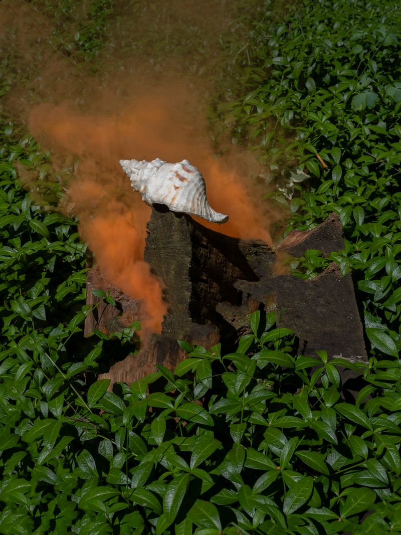 © Igor Omulecki - Image from the Stereo Ha photography project