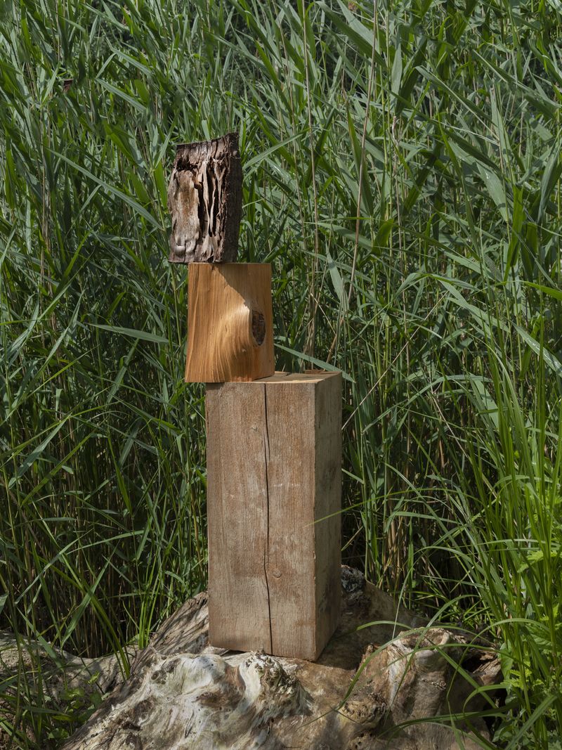 © Igor Omulecki - Image from the Stereo Ha photography project