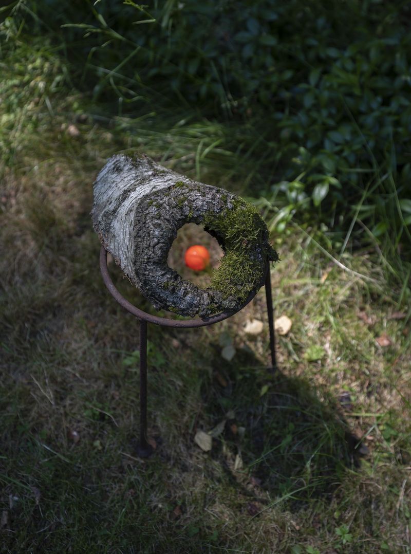 © Igor Omulecki - Image from the Stereo Ha photography project