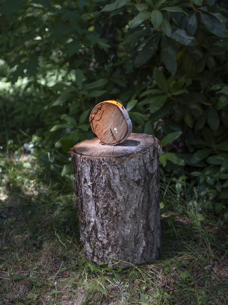 © Igor Omulecki - Image from the Stereo Ha photography project